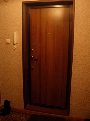 дверь 6.JPG