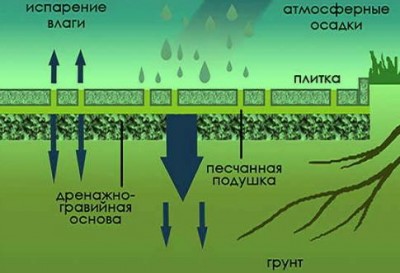 Безымянный.JPG