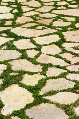 20504167-stone-path-in-green-grass-garden-texture-elevated-view-Stock-Photo.jpg