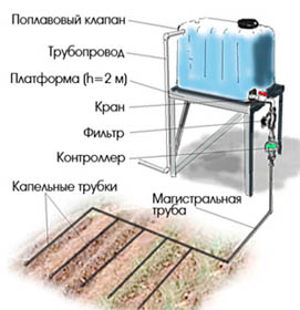 капельный полив своими руками.jpg