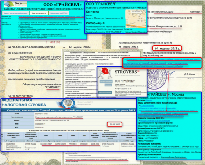 Лицензии, регистрация ЕГРЮЛ, из рекламны в интернете.png
