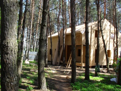 SDC10023.JPG