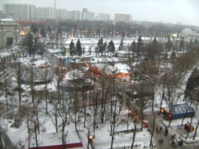 презентация деревья зимой Москва.jpg