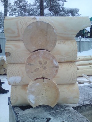 DSC00533.JPG