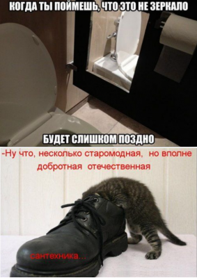 из приколов....png