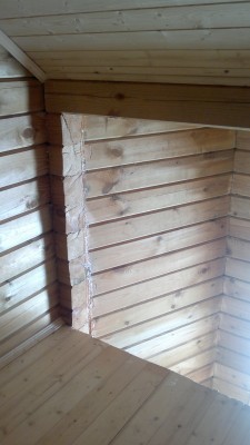 2013-03-29-343.jpg