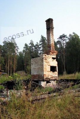Печь одинокая.jpg