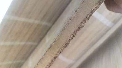 IMG_20131130_102522.jpg