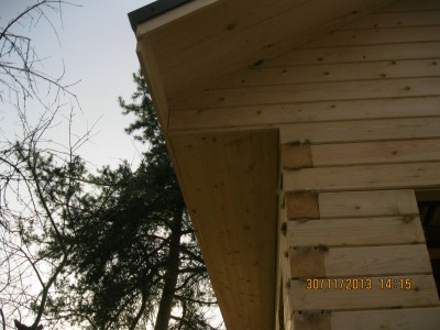 IMG_1539.JPG