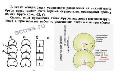 Пропил нижний-Гл.jpg