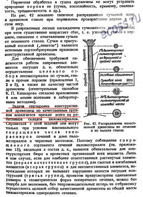 про лес1.jpg
