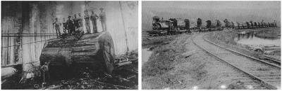 транспортировка кряжей.png (68.13 КБ) 4411 просмотров транспортировка кряжей.png