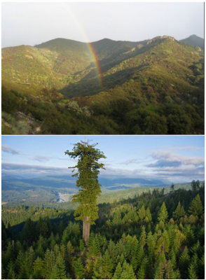 горные пейзажи.png