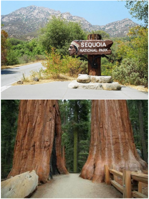 Национальный парк Sequoia.png