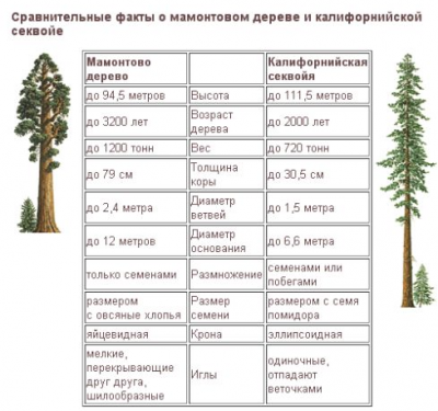 некоторые данные.png