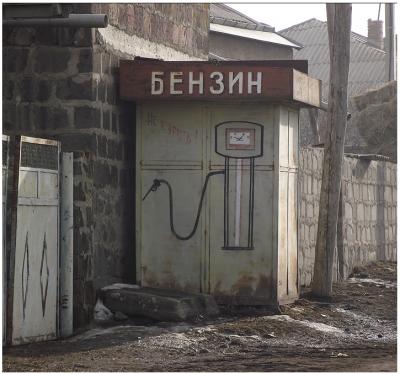идеи современного бизнеса... не отходя от дома.png