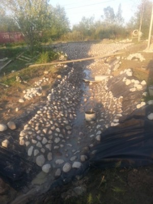 2013-08-21 20.17.18.jpg