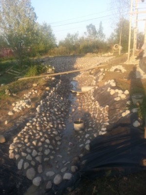 2013-08-21 20.17.07.jpg