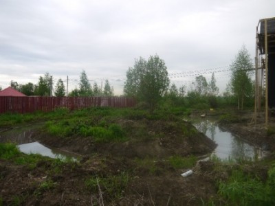 P1020753 (2).jpg