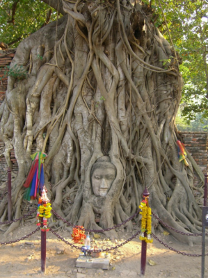 Таиланд. Сохранившиеся развалины храмов в историческом Парке Аюттайи (Ayutthaya Historical Park, в старой части города) .png