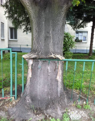 за жизненное пространство.png