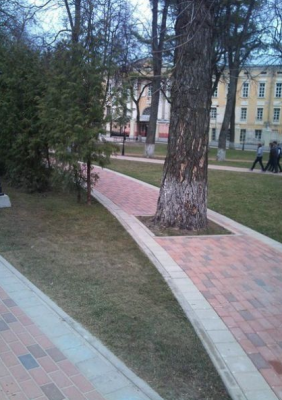 дорога к знаниям.png