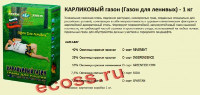 газончик.jpg