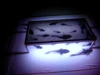 загруженное.gif