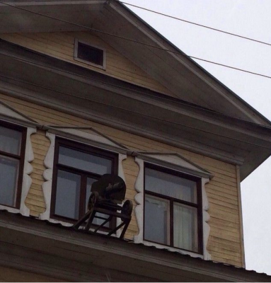 дача Новых....png