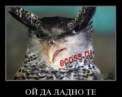 Хорош врать.jpg