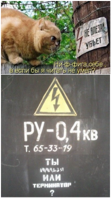 Некоторые плюсы всеобщей грамотности....png
