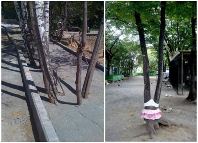 забота и любовь к природе... и укрепят, и оденут....png