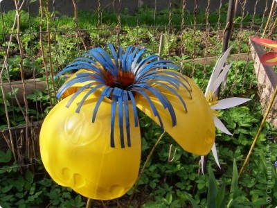 plastbut1.jpg