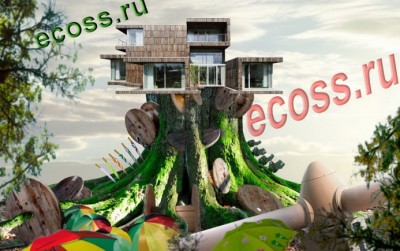 ЭКОСС на пне.jpg