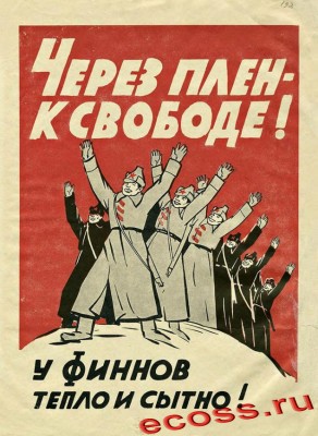 Сайдинг и финны.jpg