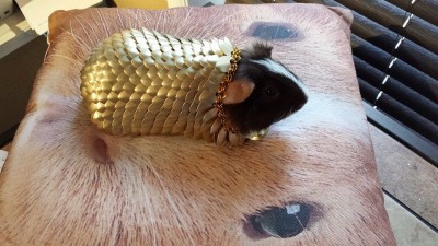 из чайных ложек.jpg