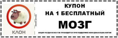 купон на мозги.png