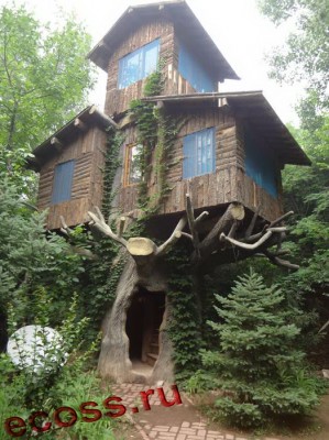 Дупло и скворечник.jpg