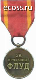 Медаль за флуд.jpg