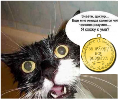 недоумение.png