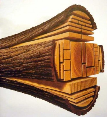ggr01derevo.jpg
