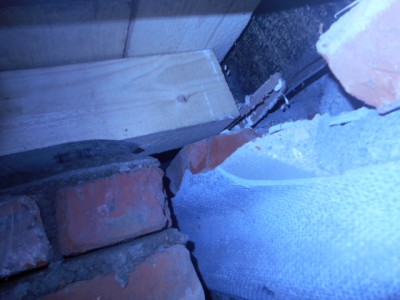 DSCN0336.JPG