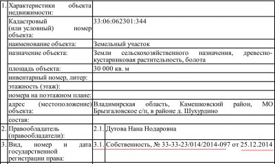 бежит.jpg