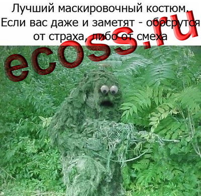 Маскировка.jpg