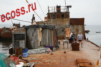 диоген и море.jpg