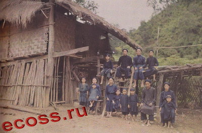 Каркасник.jpg