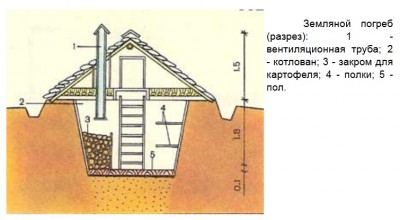 Какой погреб лучше форум.jpg