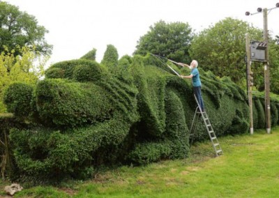 un-dragon-taille-dans-sa-haie.jpg
