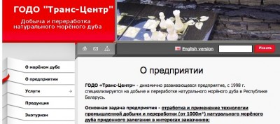 Морёный_дуб__Bog_Oak__элитный_материал__мореный_дуб__мореный_дуб_цена__самая_ценная_древесина_морёный_дуб_цена__морёный_дуб__ГОДО_«Транс-Центр».jpg