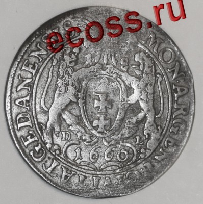 1666-1.jpg